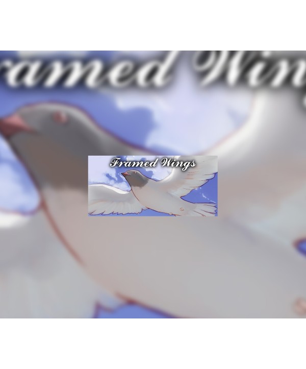 Framed Wings Steam Key GLOBAL